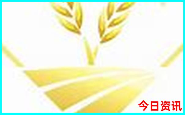 新加坡旅游最佳季节是几月份